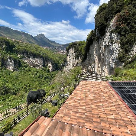 Agriturismo Orrido Di Pino アジェーロラ エクステリア 写真