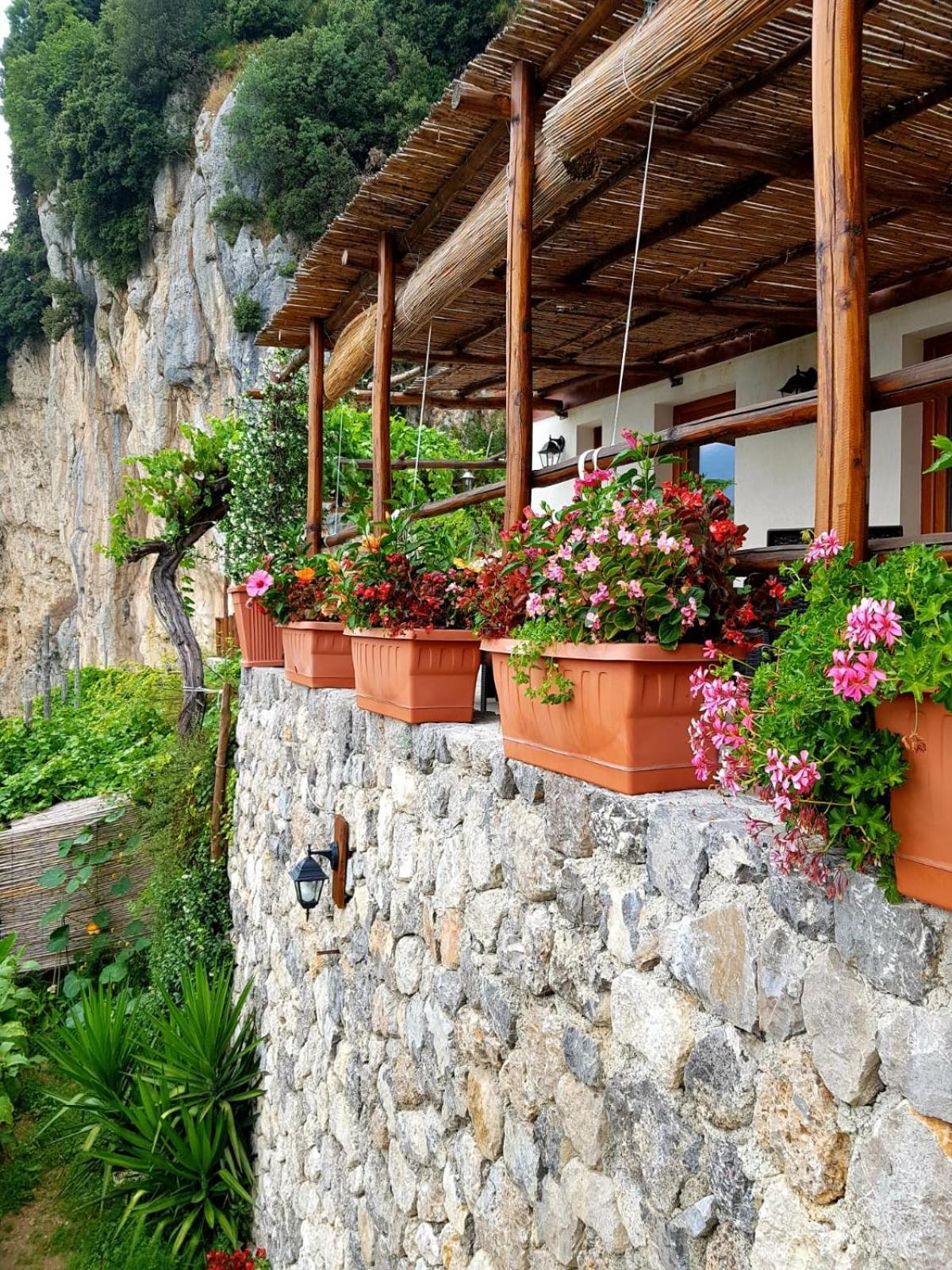 Agriturismo Orrido Di Pino アジェーロラ エクステリア 写真
