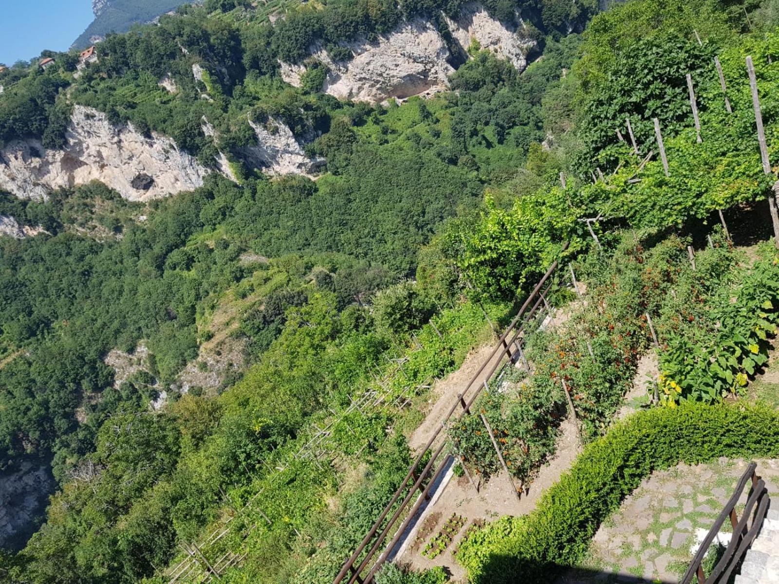 Agriturismo Orrido Di Pino アジェーロラ エクステリア 写真