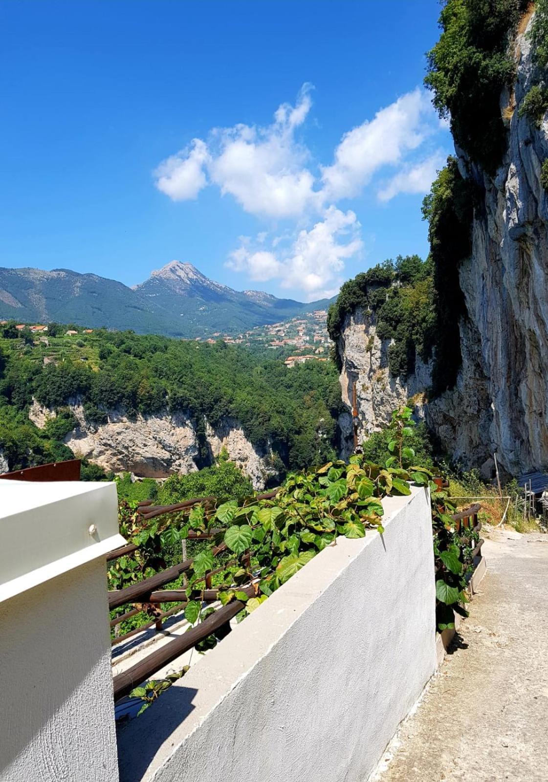 Agriturismo Orrido Di Pino アジェーロラ エクステリア 写真