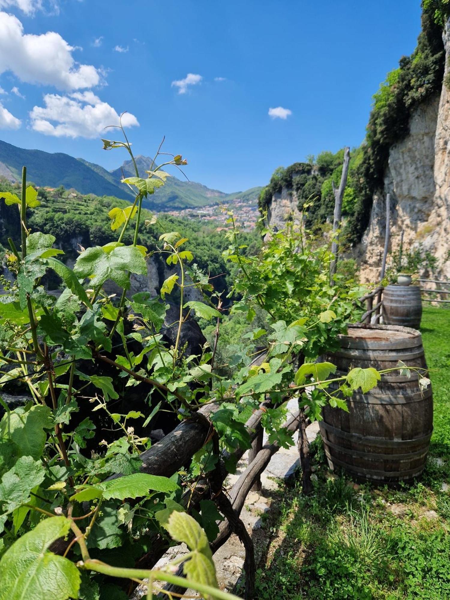 Agriturismo Orrido Di Pino アジェーロラ エクステリア 写真
