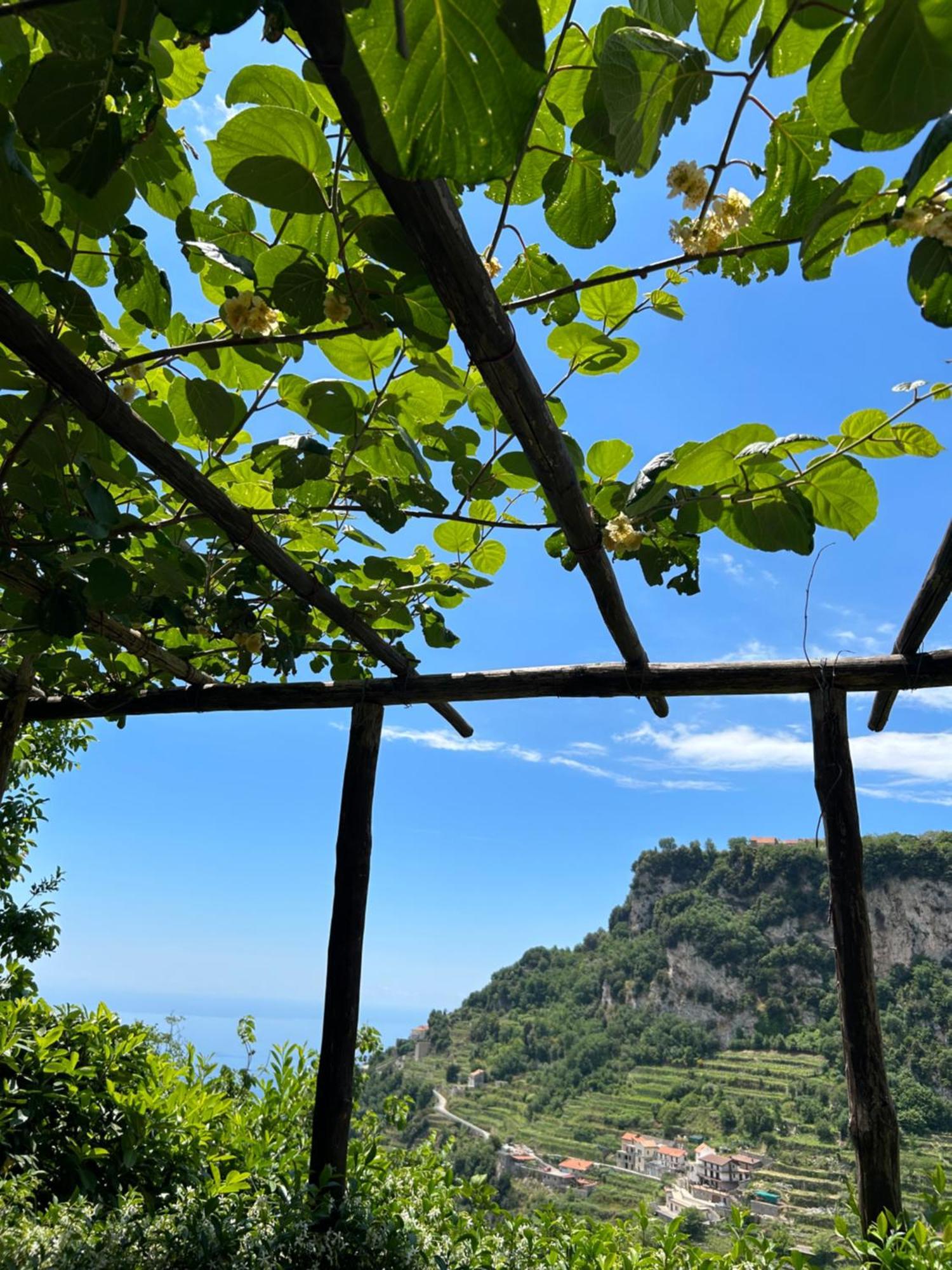 Agriturismo Orrido Di Pino アジェーロラ エクステリア 写真