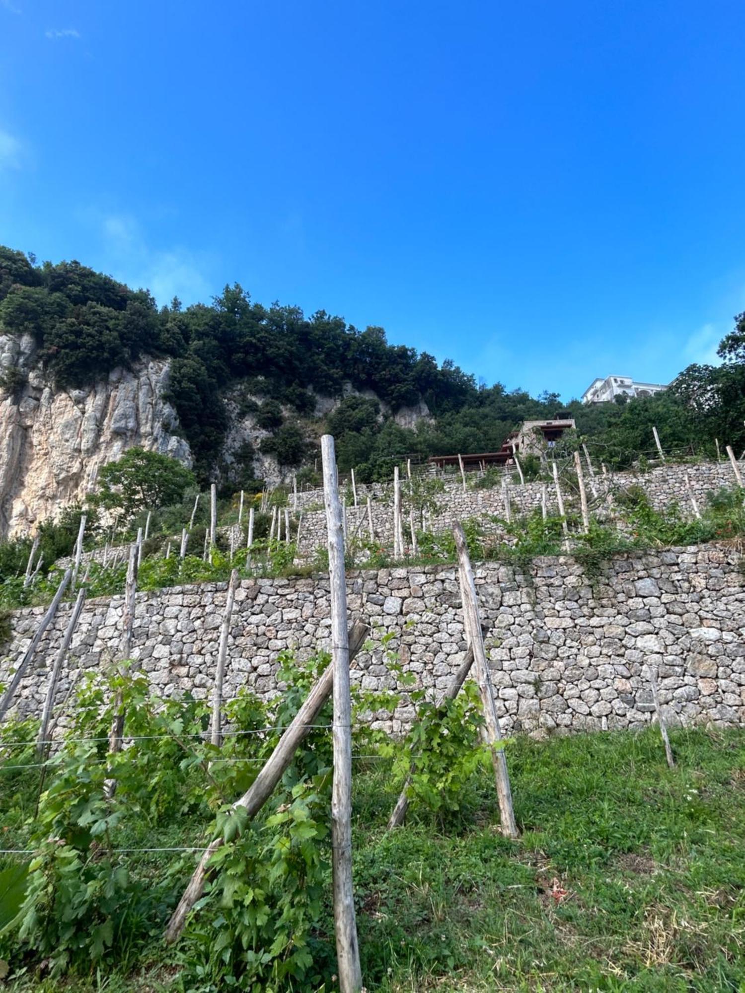 Agriturismo Orrido Di Pino アジェーロラ エクステリア 写真