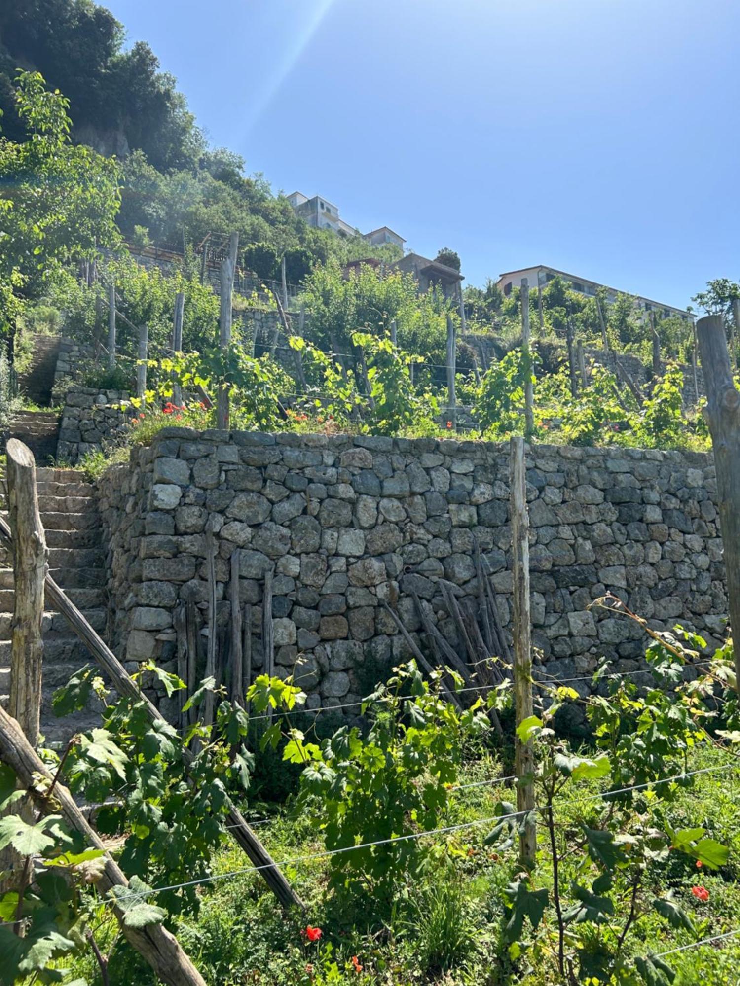 Agriturismo Orrido Di Pino アジェーロラ エクステリア 写真