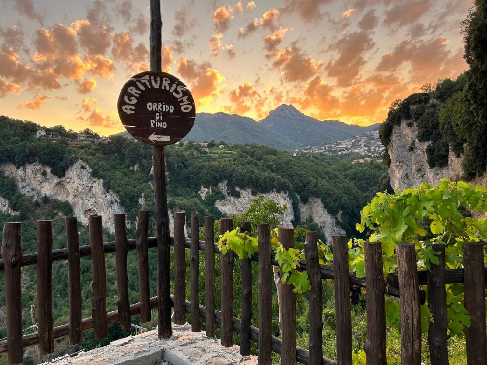 Agriturismo Orrido Di Pino アジェーロラ エクステリア 写真